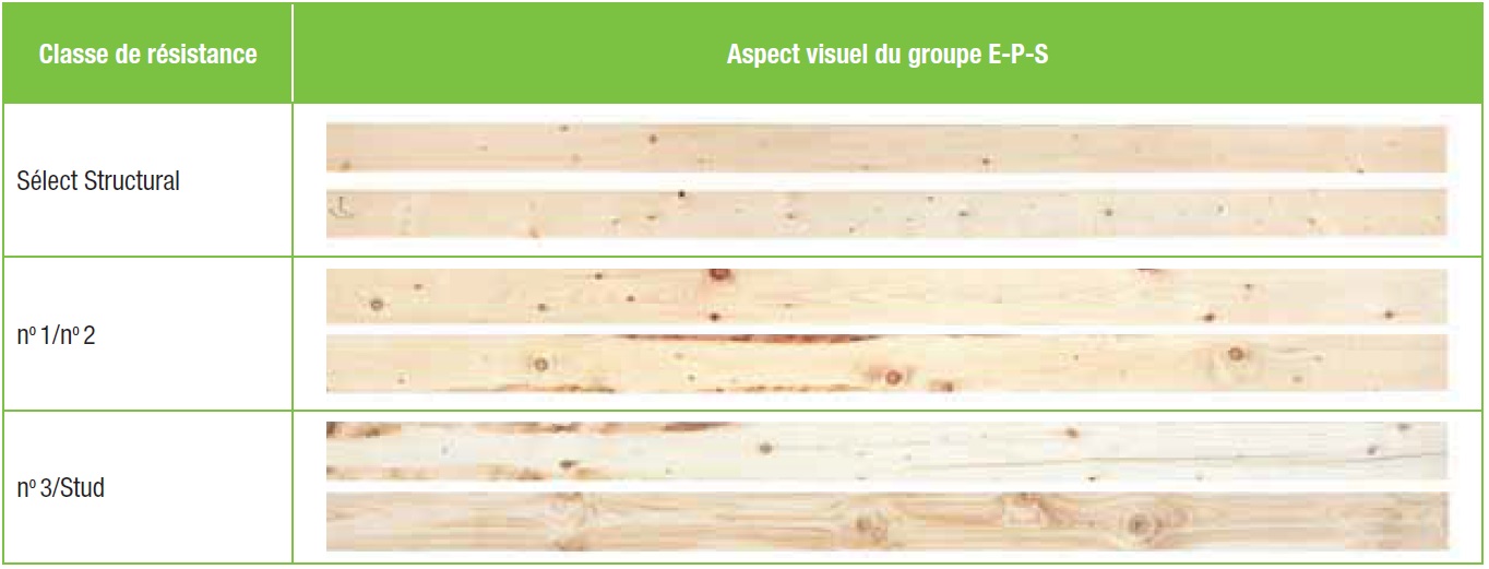 Fini du grain de bois du groupe E-P-S