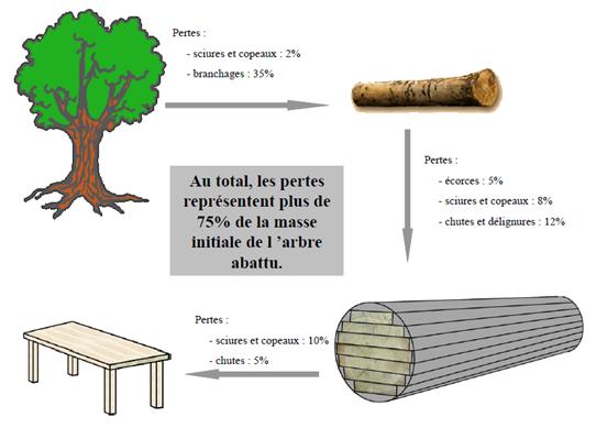 Pertes de matière le long de la filière bois